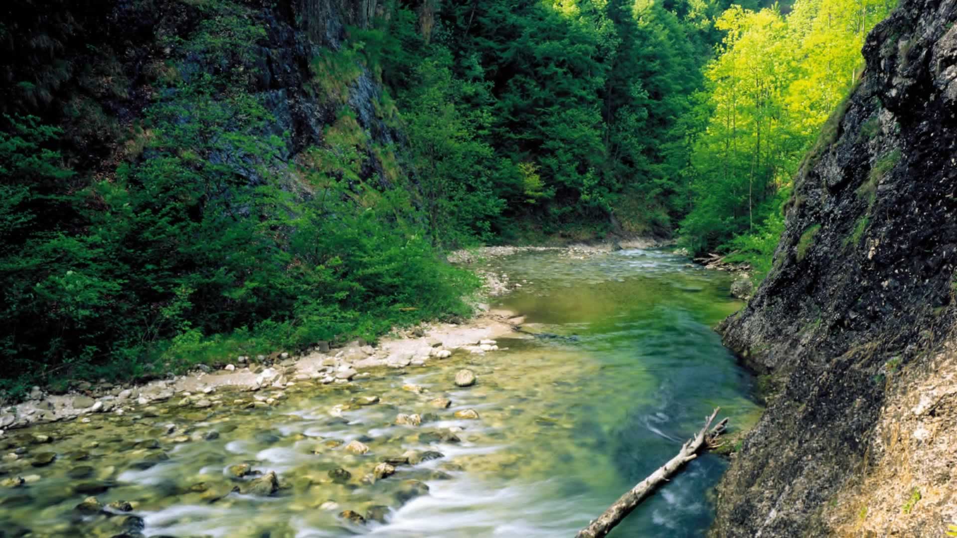 Steyr: Kleine historische Stadt in der Nationalpark Region