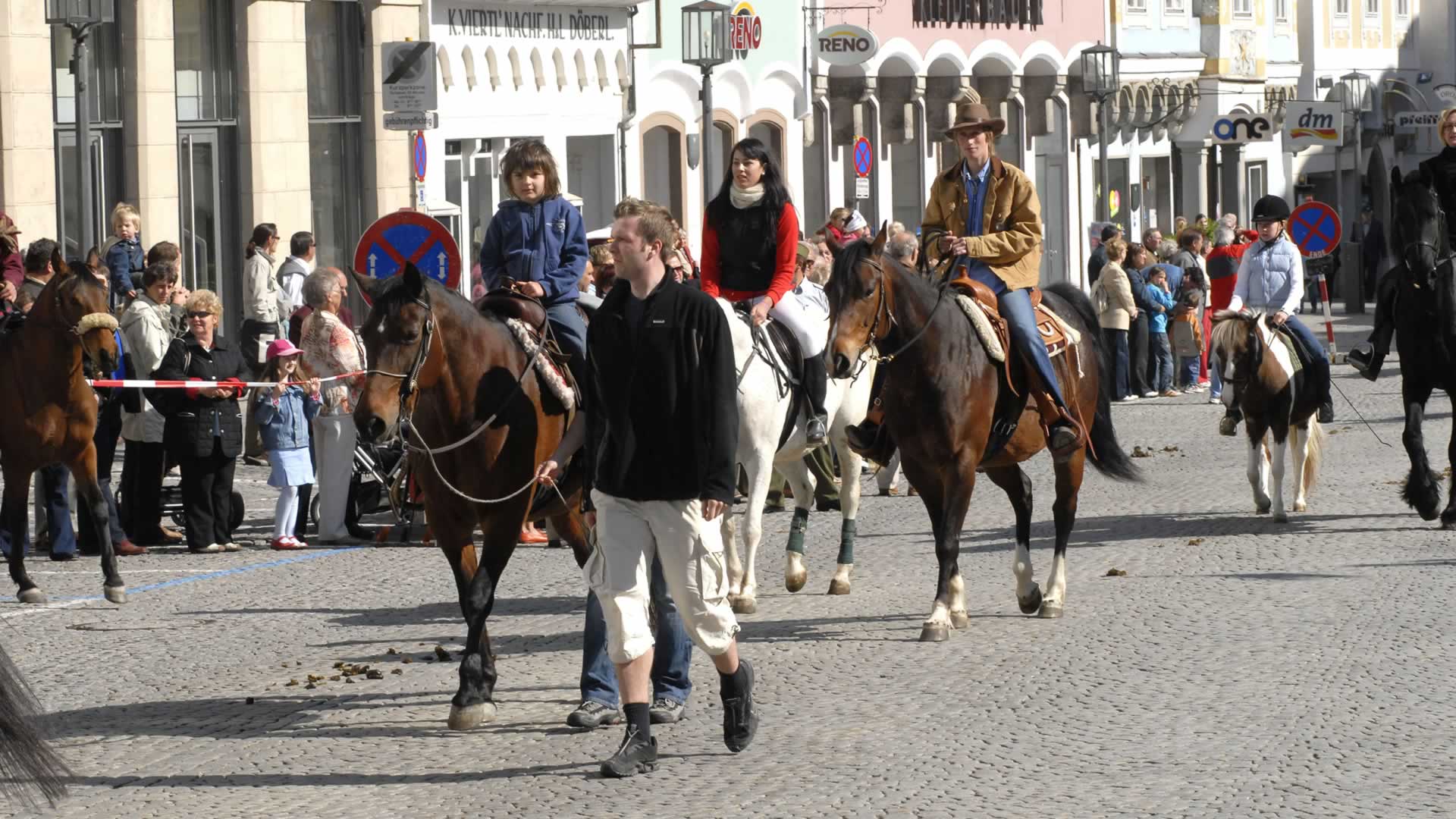 Pferde am Steyrer Stadtplatz